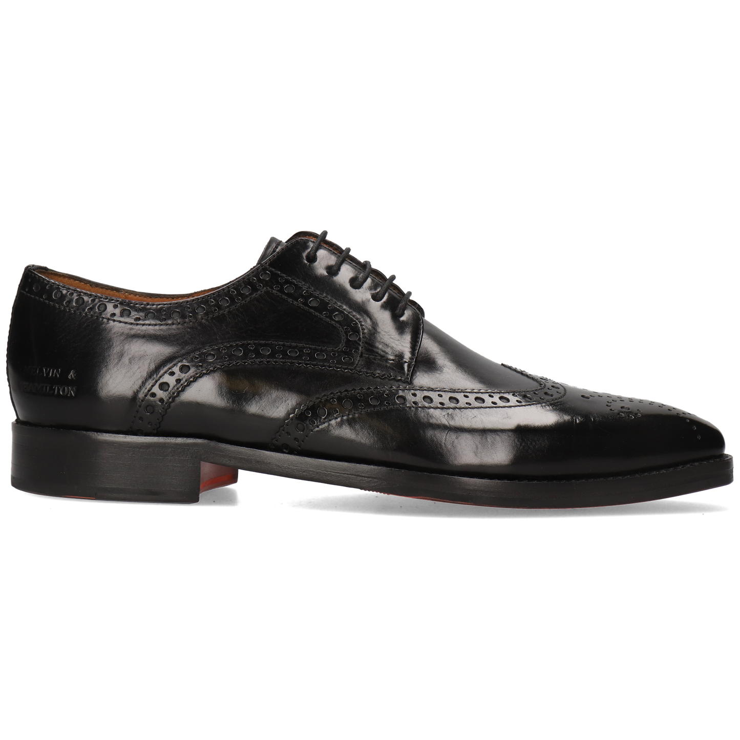 Lawrence 5
