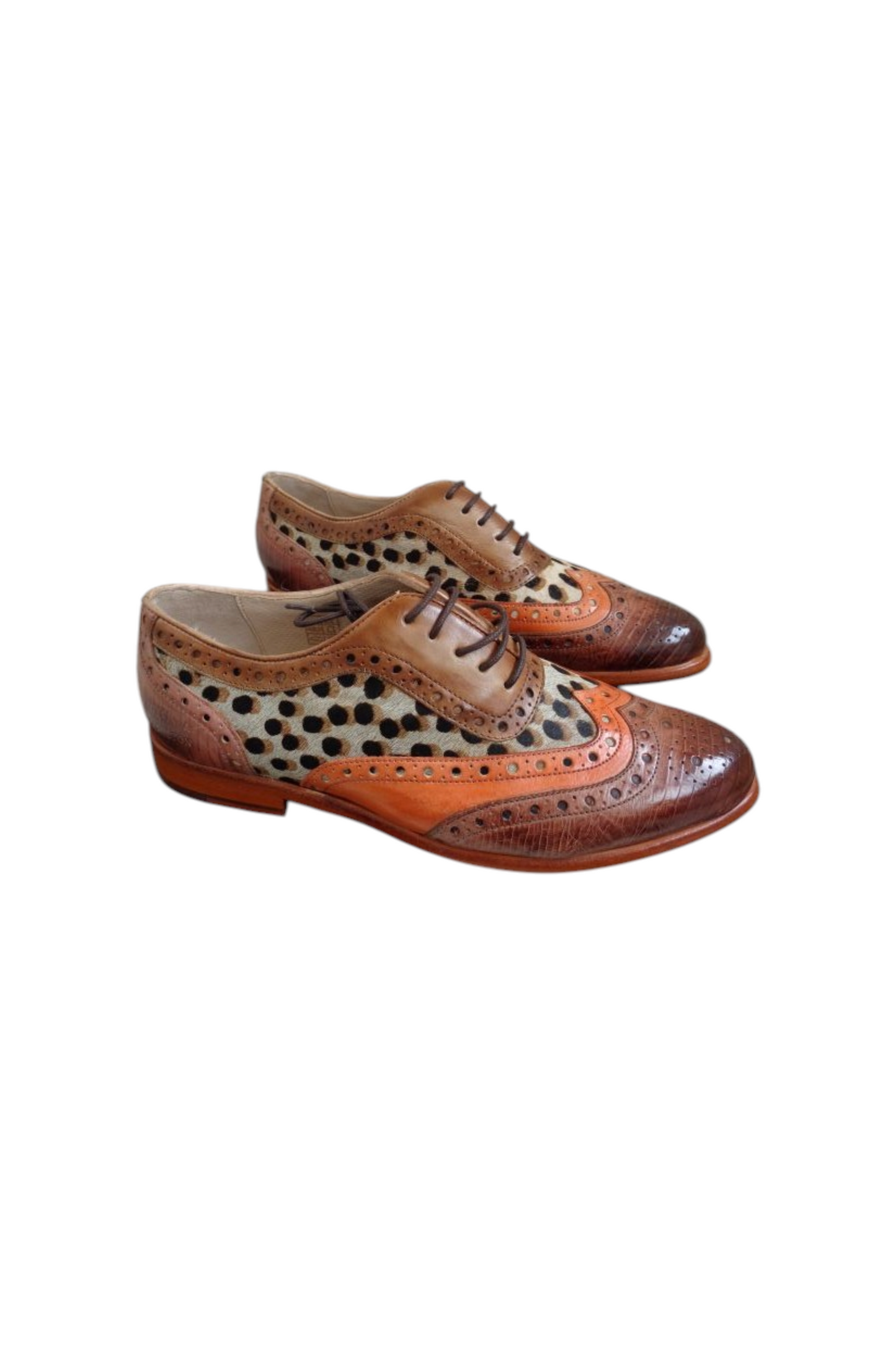 Wunderschöne Selina 56 Oxfords Modell Vegas Lizzard / Vegas Mild Orange