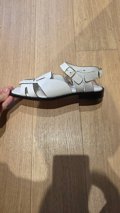 Everly 1