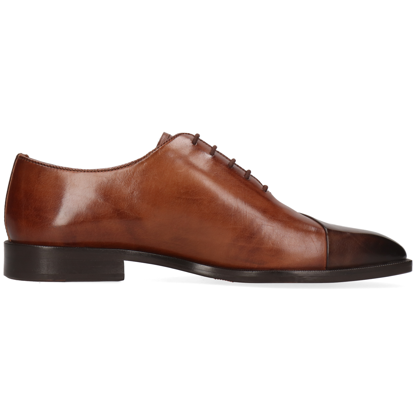 Stefano 6