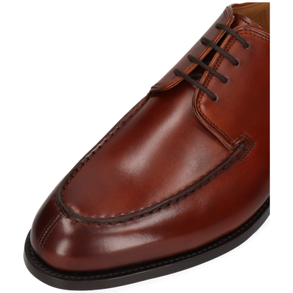 Benet 7