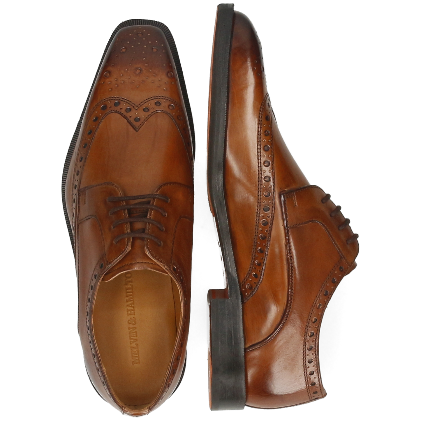 Stefano 4
