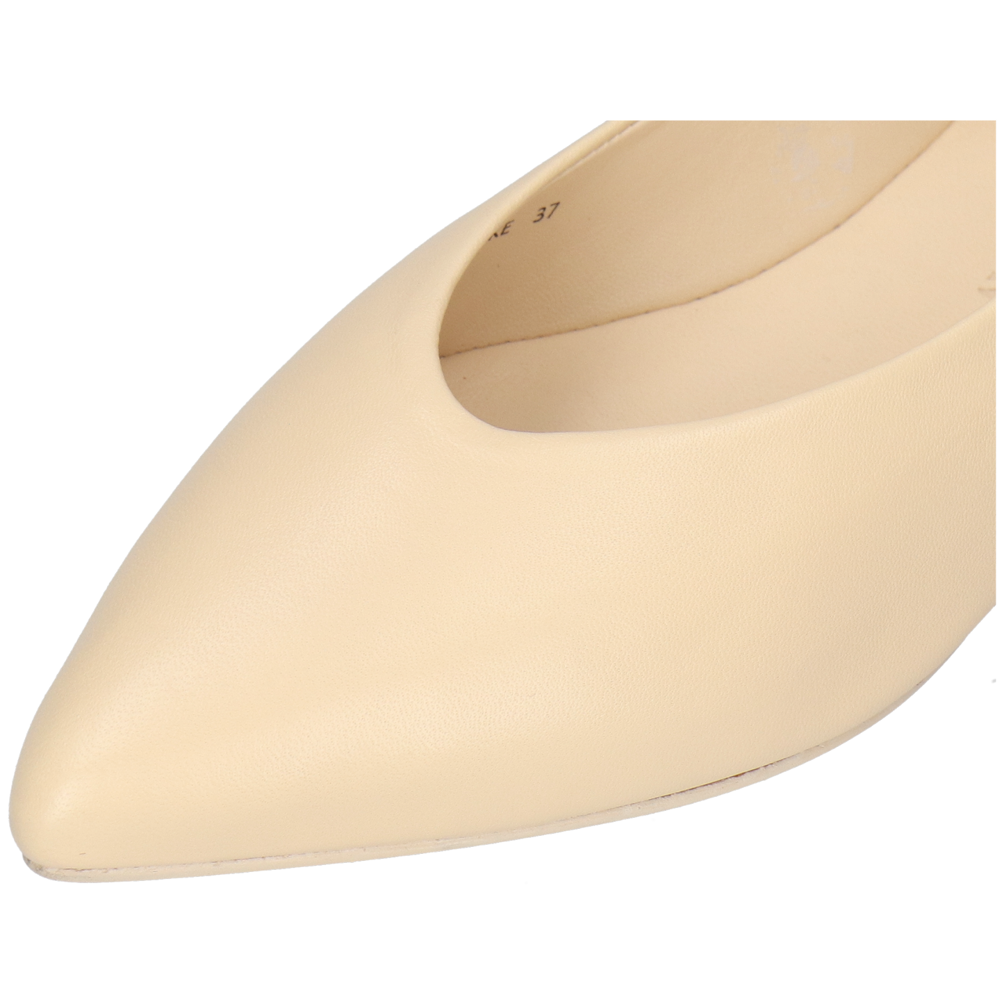 Alora 1