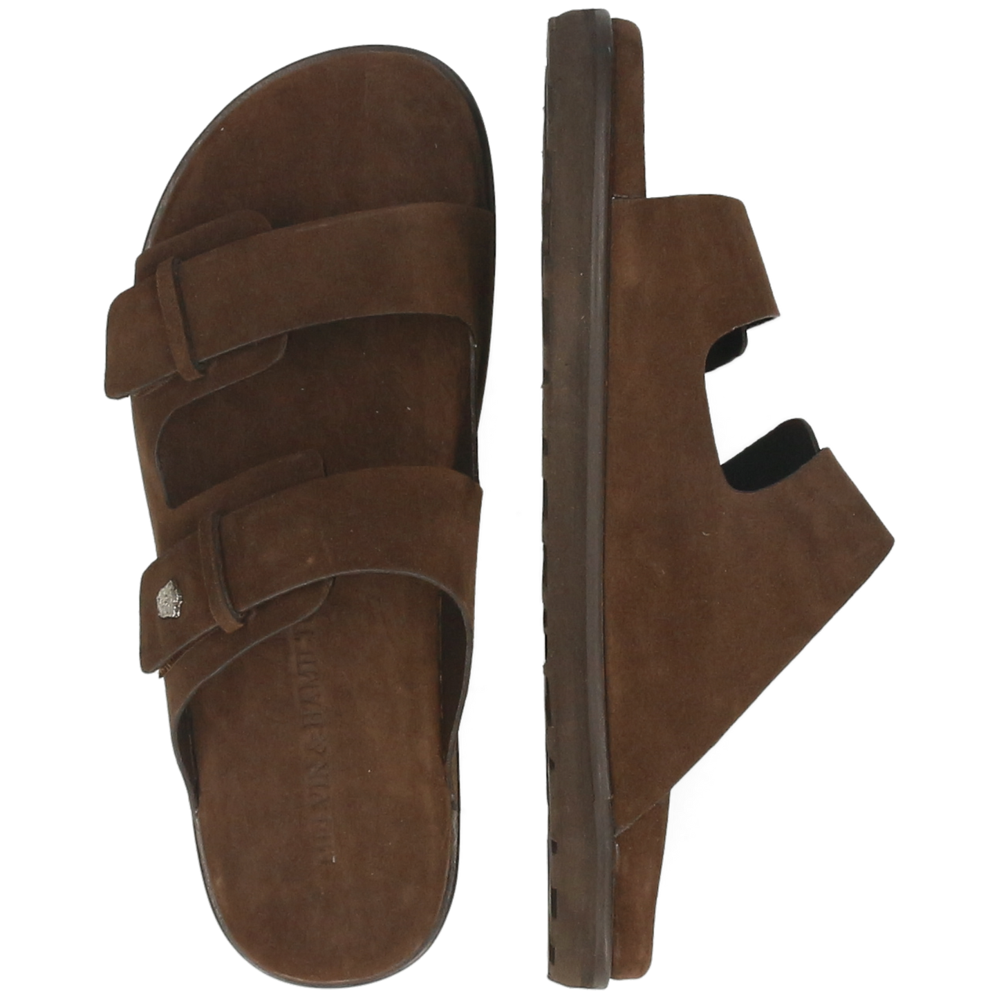 Wilma 58