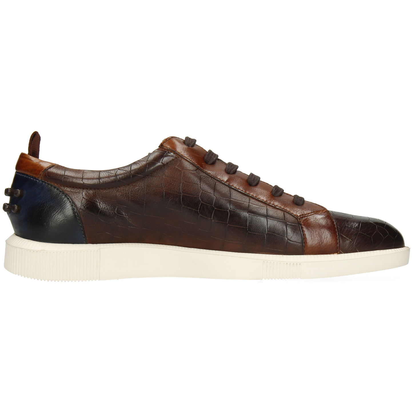 Newton 11