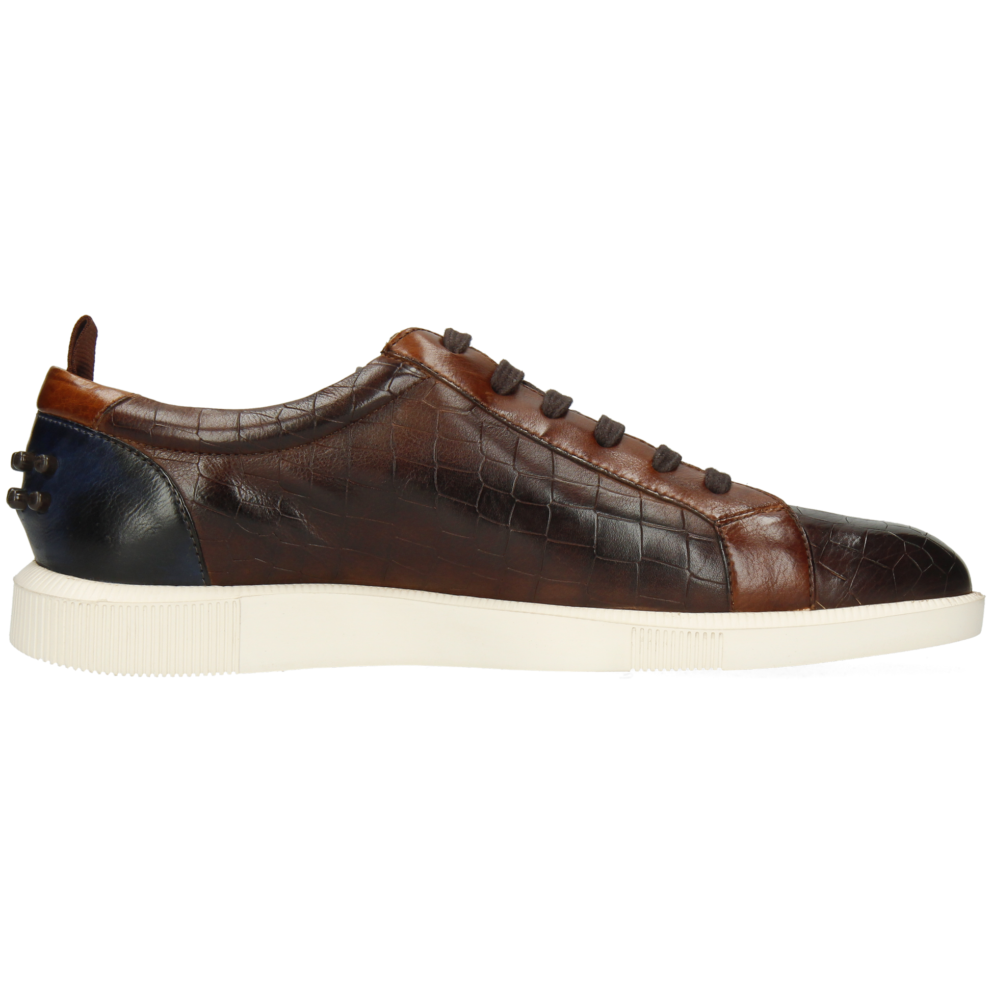 Newton 11