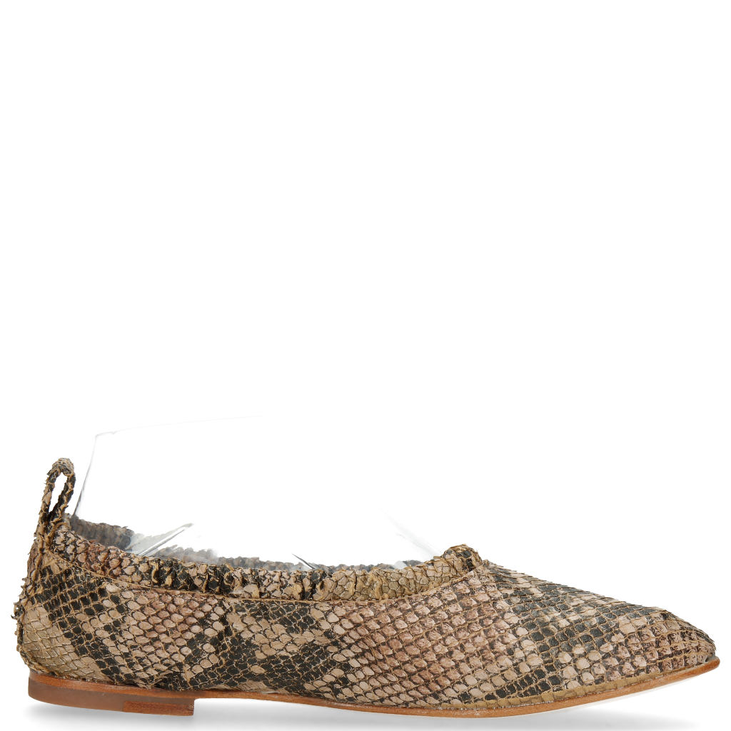 Iris 2