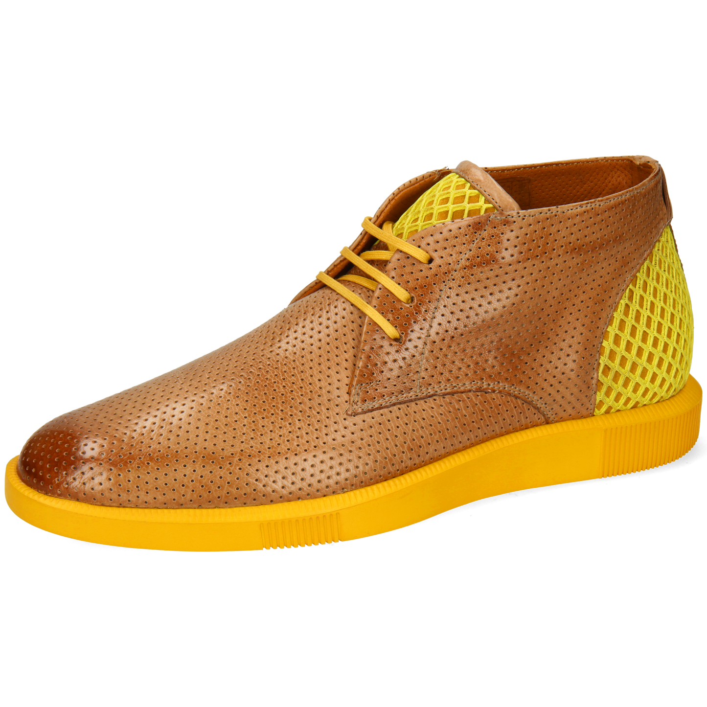 Newton 2