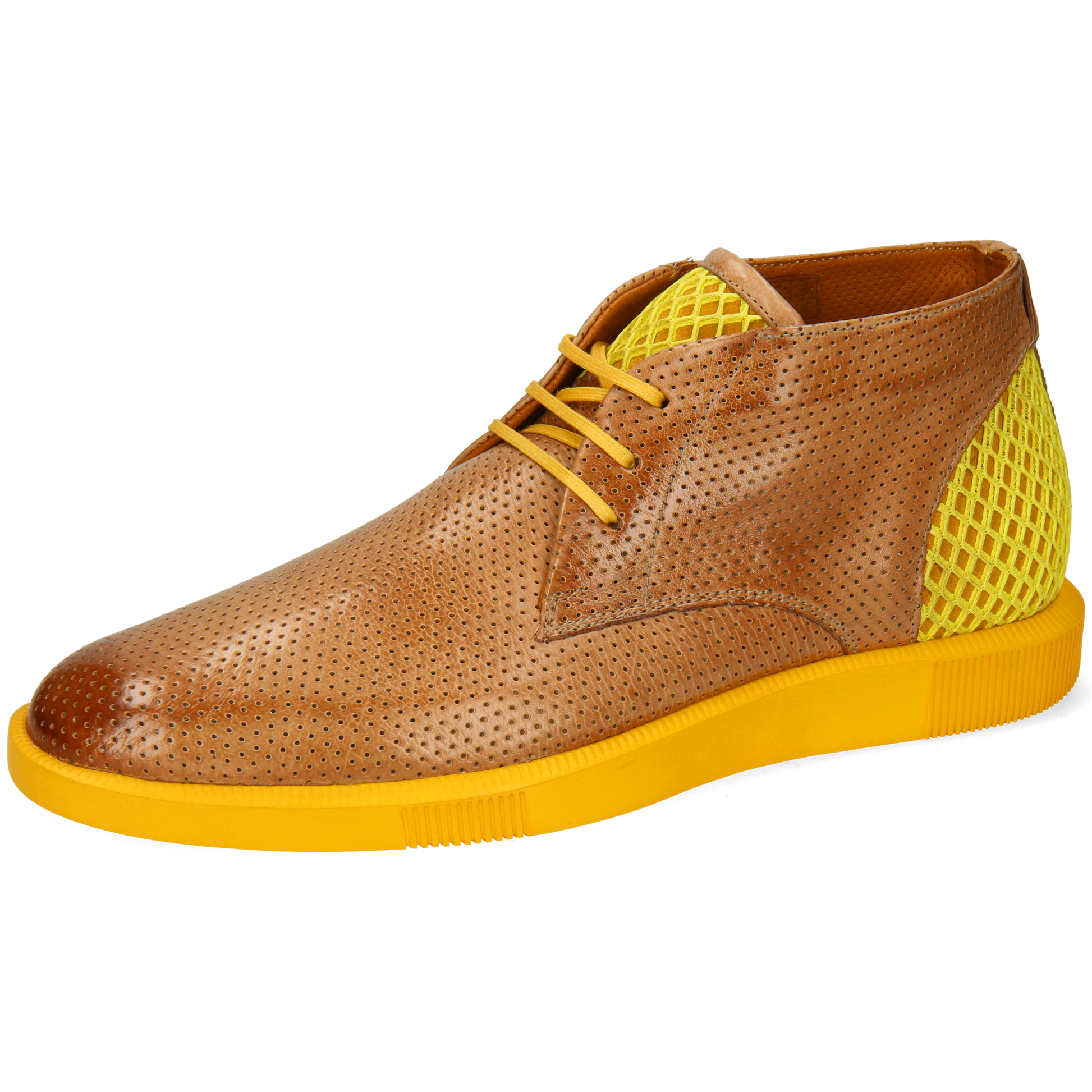 Newton 2